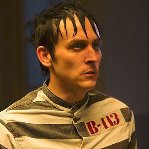 Bilder Robin Lord Taylor