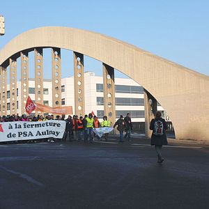 Bilder Comme des lions