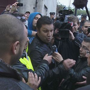 Bilder Comme des lions