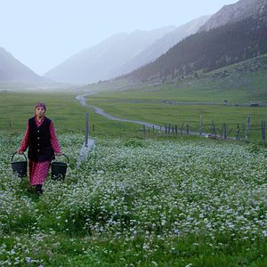 Bilder Nomaden des Himmels