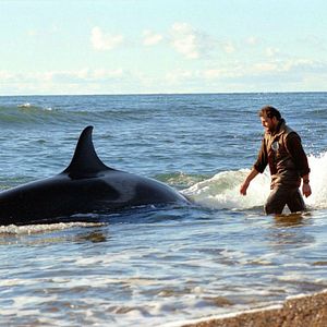Bilder The Lighthouse Of The Whales