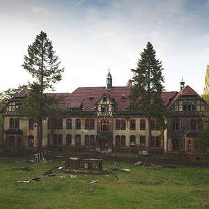 Bilder Men & Chicken