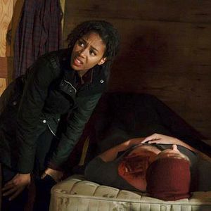 Bilder Nicole Beharie