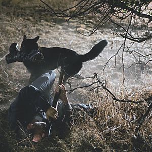 Bilder Little Dead Rotting Hood - Keine Angst vorm bösen Wolf