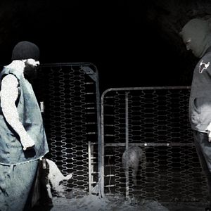 Bilder Infidus - Es ist nur ein Film!