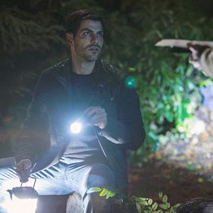 Bilder David Giuntoli