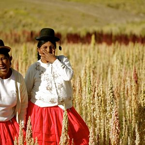 Bilder Gastóns Küche