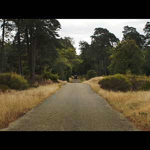 Bilder Gérard Depardieu