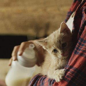 Bilder Timber - Ein tierischer Schatz