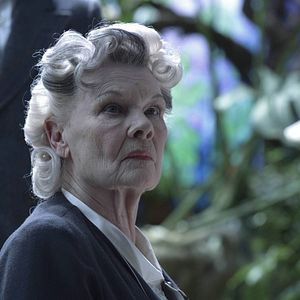 Bilder Judi Dench