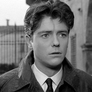 Bilder Die Verirrten