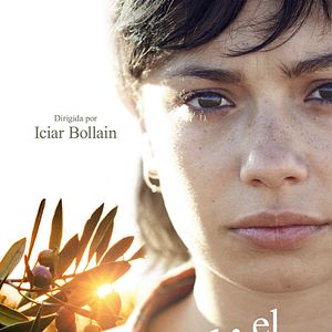 Bilder El Olivo - Der Olivenbaum