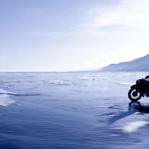 Bilder Dans les forêts de Sibérie