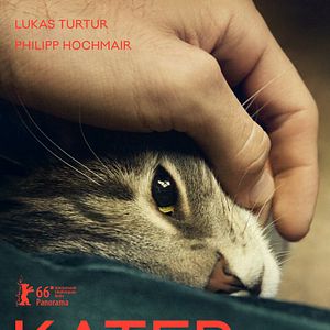 Bilder Kater