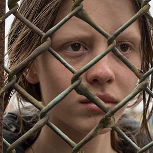 Bilder The Survivalist