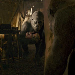 Bilder Legend Of Tarzan