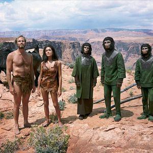 Bilder Planet der Affen