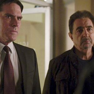 Bilder Thomas Gibson