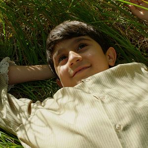 Bilder Yitik Kuşlar