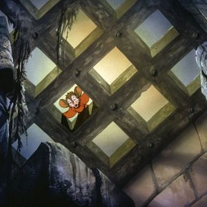 Bilder Feivel - Der Mauswanderer