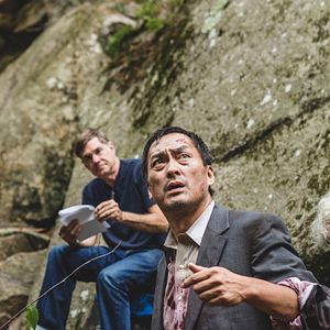 Bilder The Sea Of Trees