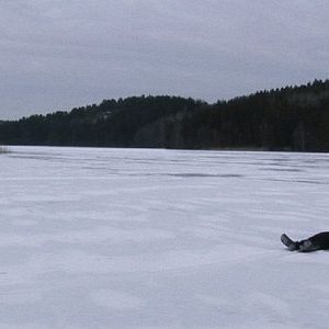 Bilder Sea Without Shore