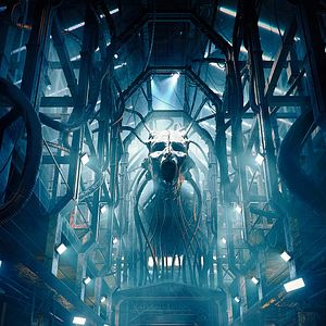 Bilder Survival Game