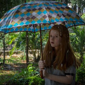 Bilder O Escaravelho do Diabo