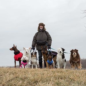 Bilder Thierry Lhermitte