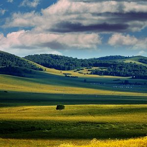 Bilder Gone With The Bullets