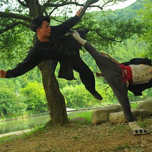 Bilder Monk Comes Down The Mountain