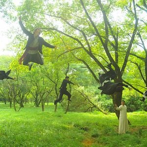 Bilder Monk Comes Down The Mountain