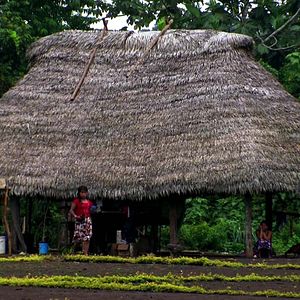 Bilder Down to Earth