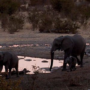 Bilder Down to Earth