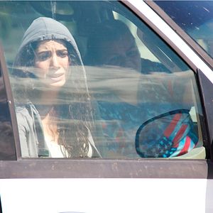 Bilder Hidden in the Woods