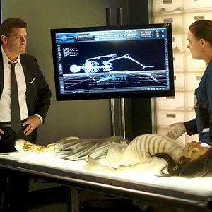 Bilder David Boreanaz