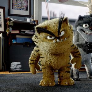 Bilder Kötü Kedi Serafettin - Bad Cat