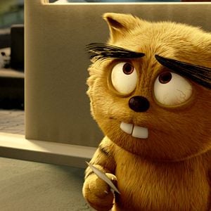 Bilder Kötü Kedi Serafettin - Bad Cat