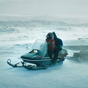 Bilder Rendezvous mit einem Eisbär