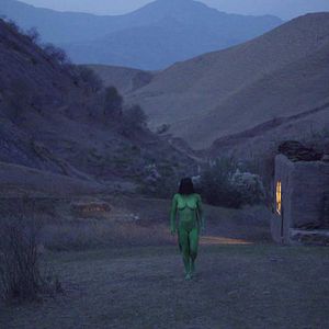 Bilder Wolf And Sheep