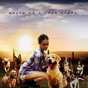 Bilder Dog Lover - Vier Pfoten für die Wahrheit