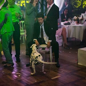 Bilder Victoria - Männer & andere Missgeschicke