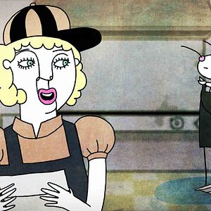 Bilder Window Horses