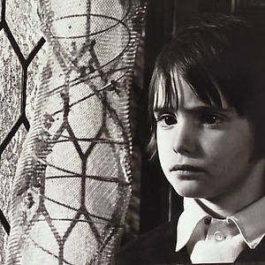 Bilder Der Geist des Bienenstockes