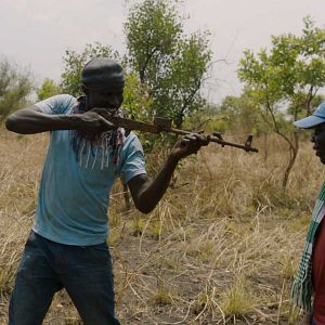 Bilder Wrong Elements