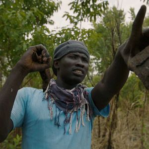 Bilder Wrong Elements