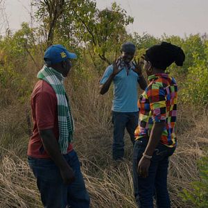 Bilder Wrong Elements