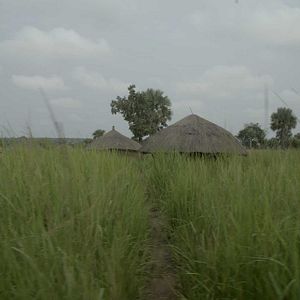 Bilder Wrong Elements