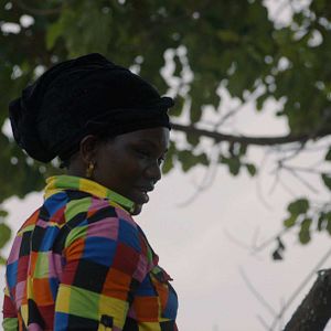 Bilder Wrong Elements