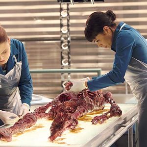 Bilder Tamara Taylor